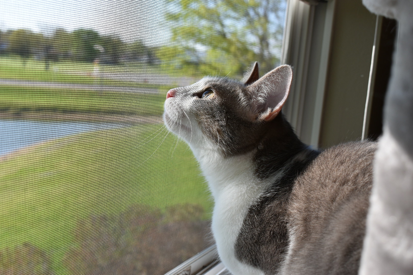 DSC_0285.JPEG