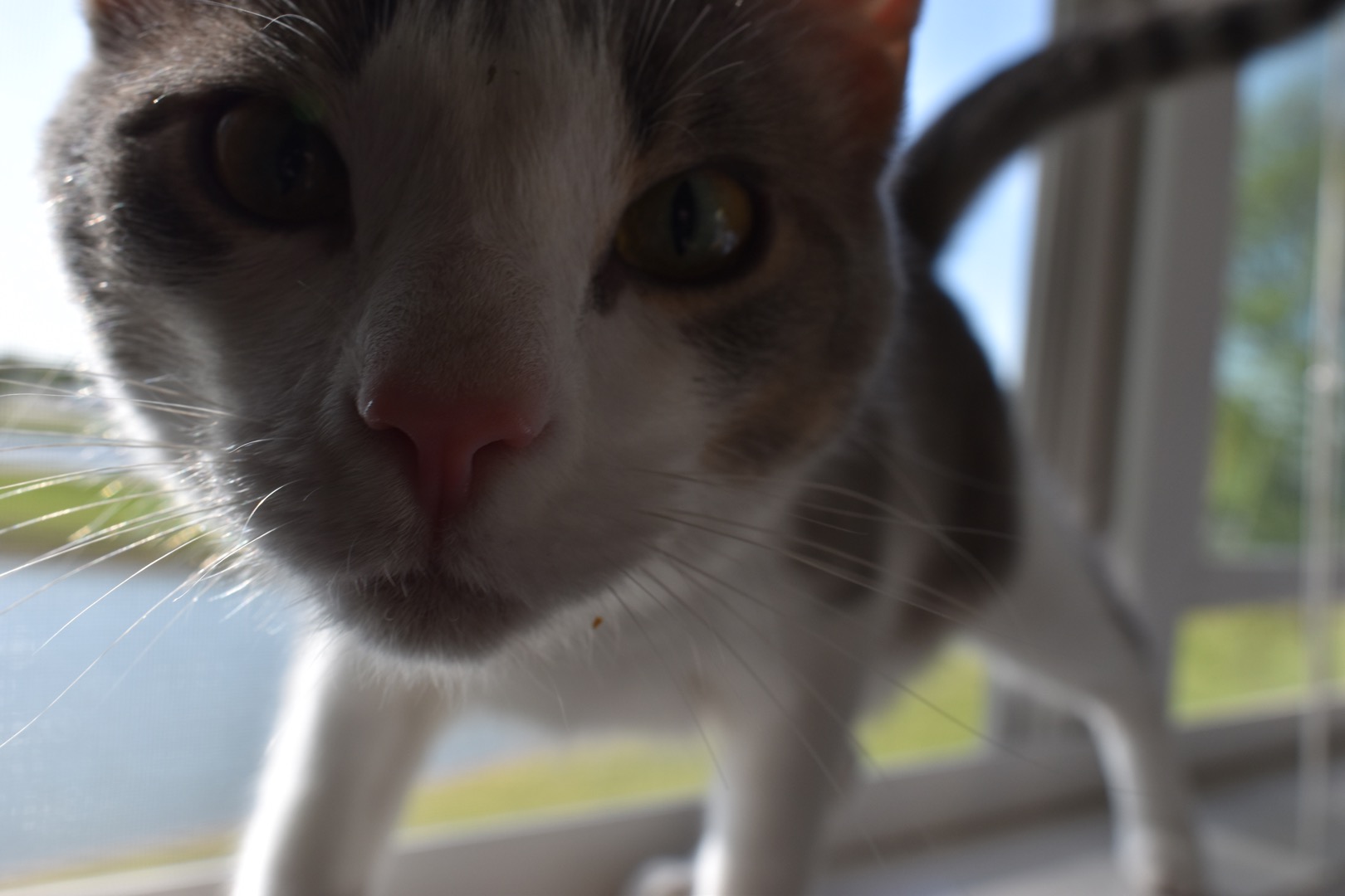 IMG_7680.JPEG