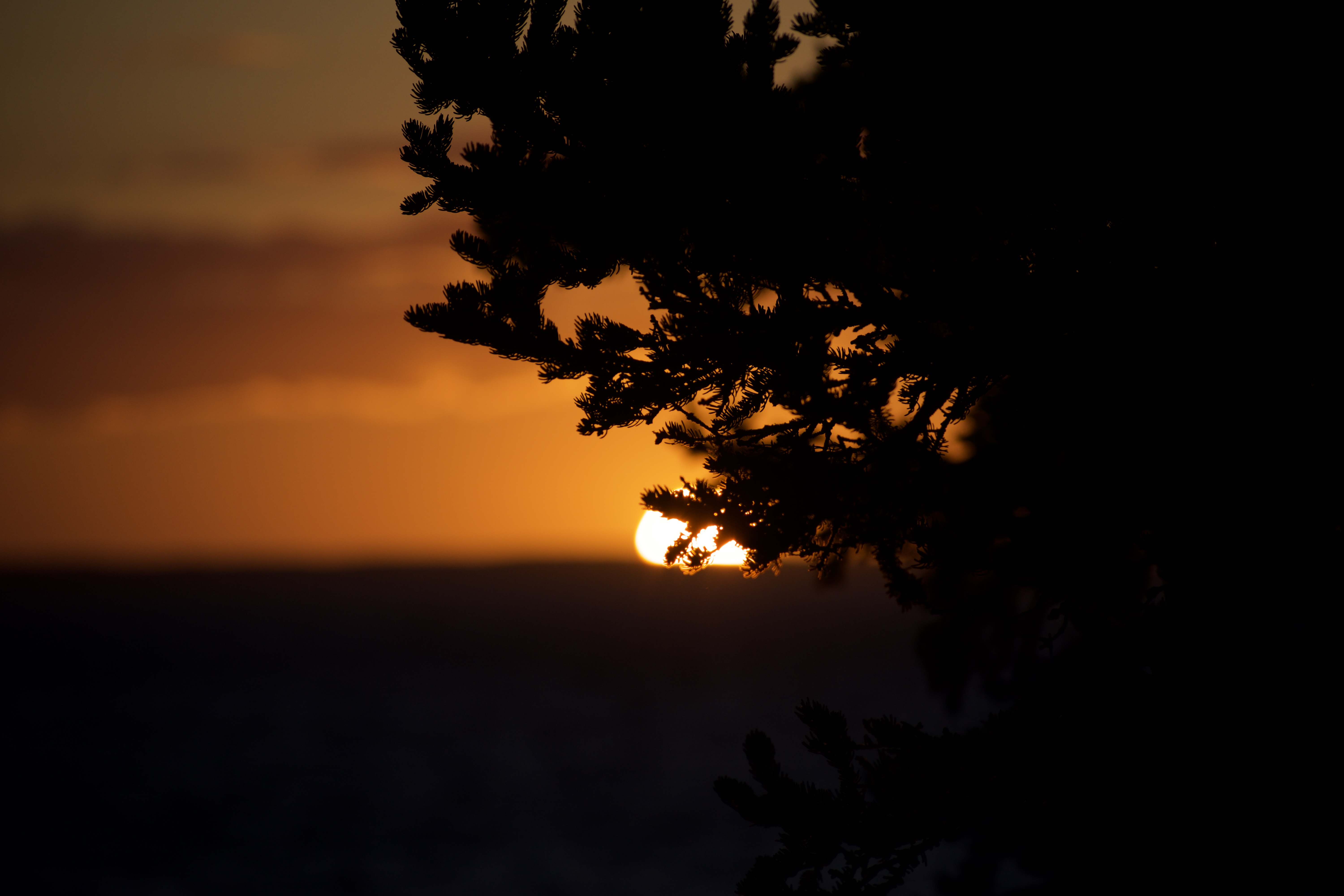 DSC_0529.JPEG